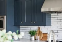 Cool Blue Kitchens Ideas For Inspiration 47