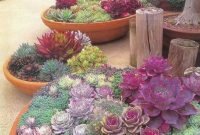 Easy And Cheap Ways To Make Succulent Garden In Your Backyard 01