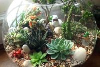 Easy And Cheap Ways To Make Succulent Garden In Your Backyard 04