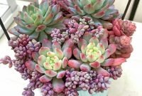 Easy And Cheap Ways To Make Succulent Garden In Your Backyard 06