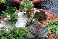 Easy And Cheap Ways To Make Succulent Garden In Your Backyard 07