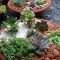 Easy And Cheap Ways To Make Succulent Garden In Your Backyard 07