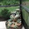 Easy And Cheap Ways To Make Succulent Garden In Your Backyard 08