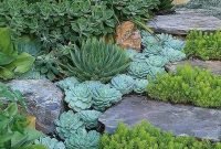 Easy And Cheap Ways To Make Succulent Garden In Your Backyard 09