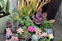 Easy And Cheap Ways To Make Succulent Garden In Your Backyard 10