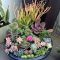 Easy And Cheap Ways To Make Succulent Garden In Your Backyard 10