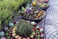 Easy And Cheap Ways To Make Succulent Garden In Your Backyard 15