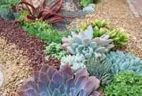 Easy And Cheap Ways To Make Succulent Garden In Your Backyard 16