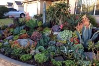 Easy And Cheap Ways To Make Succulent Garden In Your Backyard 18