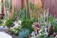 Easy And Cheap Ways To Make Succulent Garden In Your Backyard 22