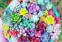 Easy And Cheap Ways To Make Succulent Garden In Your Backyard 24