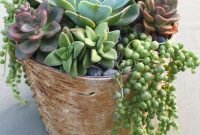 Easy And Cheap Ways To Make Succulent Garden In Your Backyard 25