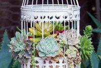 Easy And Cheap Ways To Make Succulent Garden In Your Backyard 26