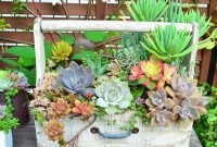 Easy And Cheap Ways To Make Succulent Garden In Your Backyard 28