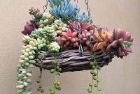 Easy And Cheap Ways To Make Succulent Garden In Your Backyard 30