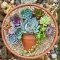 Easy And Cheap Ways To Make Succulent Garden In Your Backyard 32