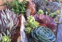 Easy And Cheap Ways To Make Succulent Garden In Your Backyard 33