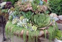Easy And Cheap Ways To Make Succulent Garden In Your Backyard 36