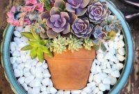 Easy And Cheap Ways To Make Succulent Garden In Your Backyard 39