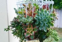 Easy And Cheap Ways To Make Succulent Garden In Your Backyard 41