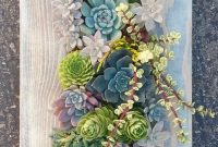 Easy And Cheap Ways To Make Succulent Garden In Your Backyard 42