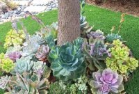 Easy And Cheap Ways To Make Succulent Garden In Your Backyard 45