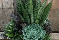 Easy And Cheap Ways To Make Succulent Garden In Your Backyard 47