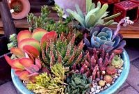 Easy And Cheap Ways To Make Succulent Garden In Your Backyard 48