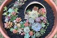 Easy And Cheap Ways To Make Succulent Garden In Your Backyard 51