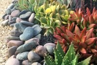 Easy And Cheap Ways To Make Succulent Garden In Your Backyard 52