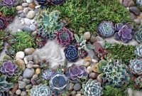 Easy And Cheap Ways To Make Succulent Garden In Your Backyard 55