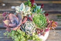 Easy And Cheap Ways To Make Succulent Garden In Your Backyard 58