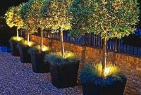 Outstanding Lighting Ideas To Light Up Your Garden With Style 13