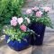 Beautiful Summer Container Garden Flower Ideas 01