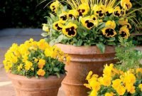 Beautiful Summer Container Garden Flower Ideas 03