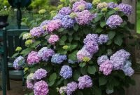 Beautiful Summer Container Garden Flower Ideas 16