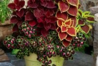 Beautiful Summer Container Garden Flower Ideas 20