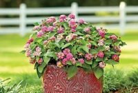 Beautiful Summer Container Garden Flower Ideas 24