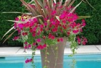 Beautiful Summer Container Garden Flower Ideas 25