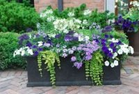 Beautiful Summer Container Garden Flower Ideas 26