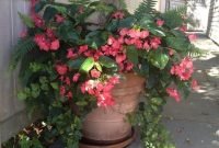 Beautiful Summer Container Garden Flower Ideas 28
