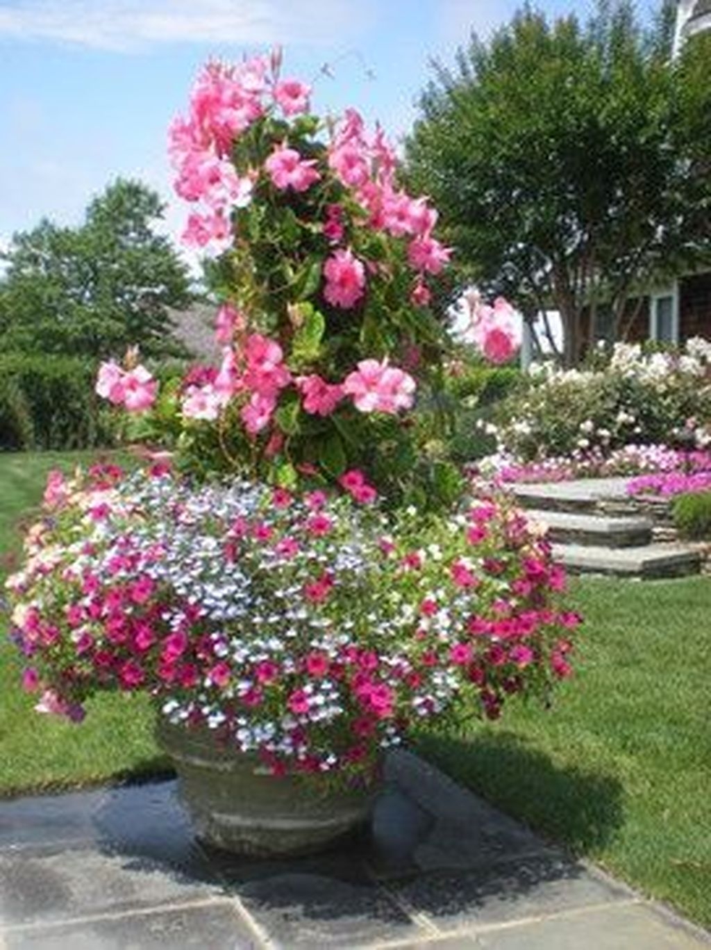 Beautiful Summer Container Garden Flower Ideas 29