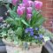 Beautiful Summer Container Garden Flower Ideas 32