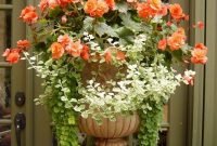 Beautiful Summer Container Garden Flower Ideas 36