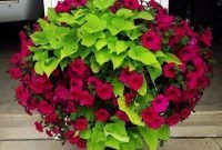 Beautiful Summer Container Garden Flower Ideas 37