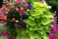 Beautiful Summer Container Garden Flower Ideas 39