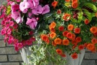 Beautiful Summer Container Garden Flower Ideas 43
