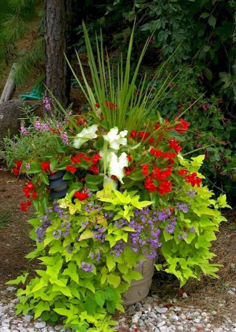 Beautiful Summer Container Garden Flower Ideas 44 - LOVAHOMY