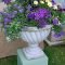 Beautiful Summer Container Garden Flower Ideas 45