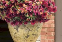Beautiful Summer Container Garden Flower Ideas 47